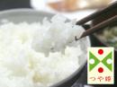 「つや姫」　★令和4年産新米 うつくしいお米に仕上がりました