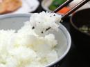 きらり　厳選はえぬき　★令和4年産新米登場です!