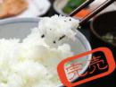 【完売しました!】　きらり　厳選はえぬき