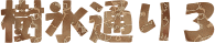 XʂR