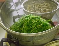湯通しをした豆苗